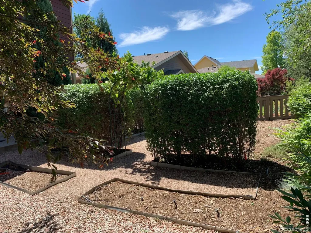 539 Coriander Lane Fort Collins CO 80521