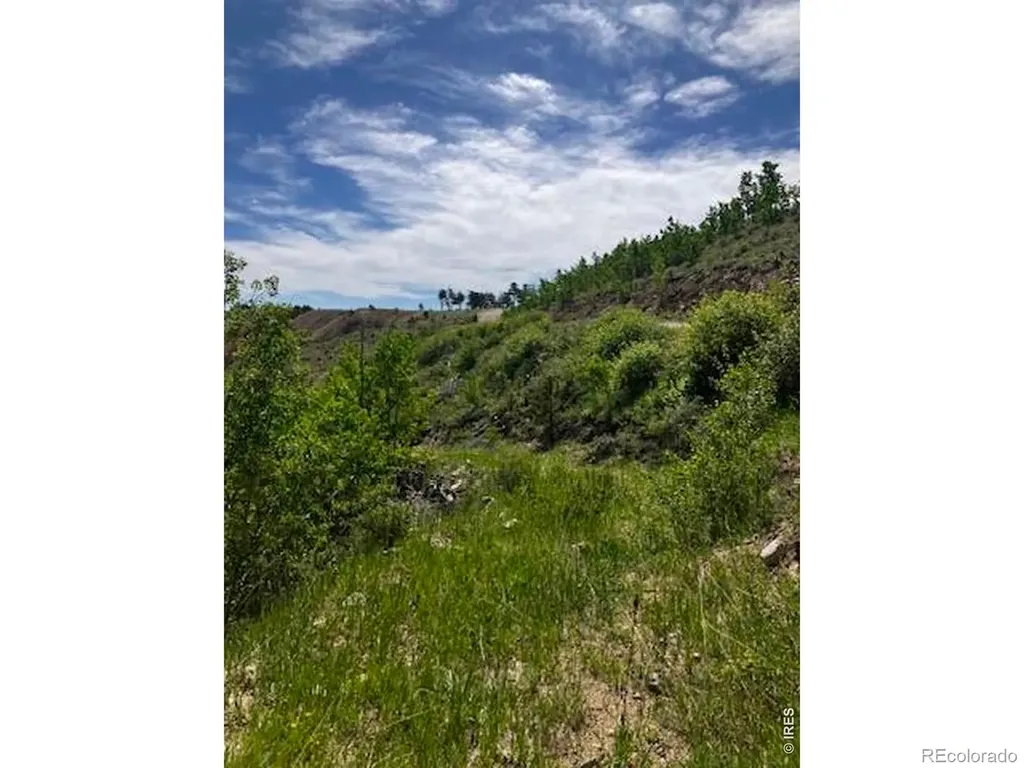1820 County Road 87j Jamestown CO 80302