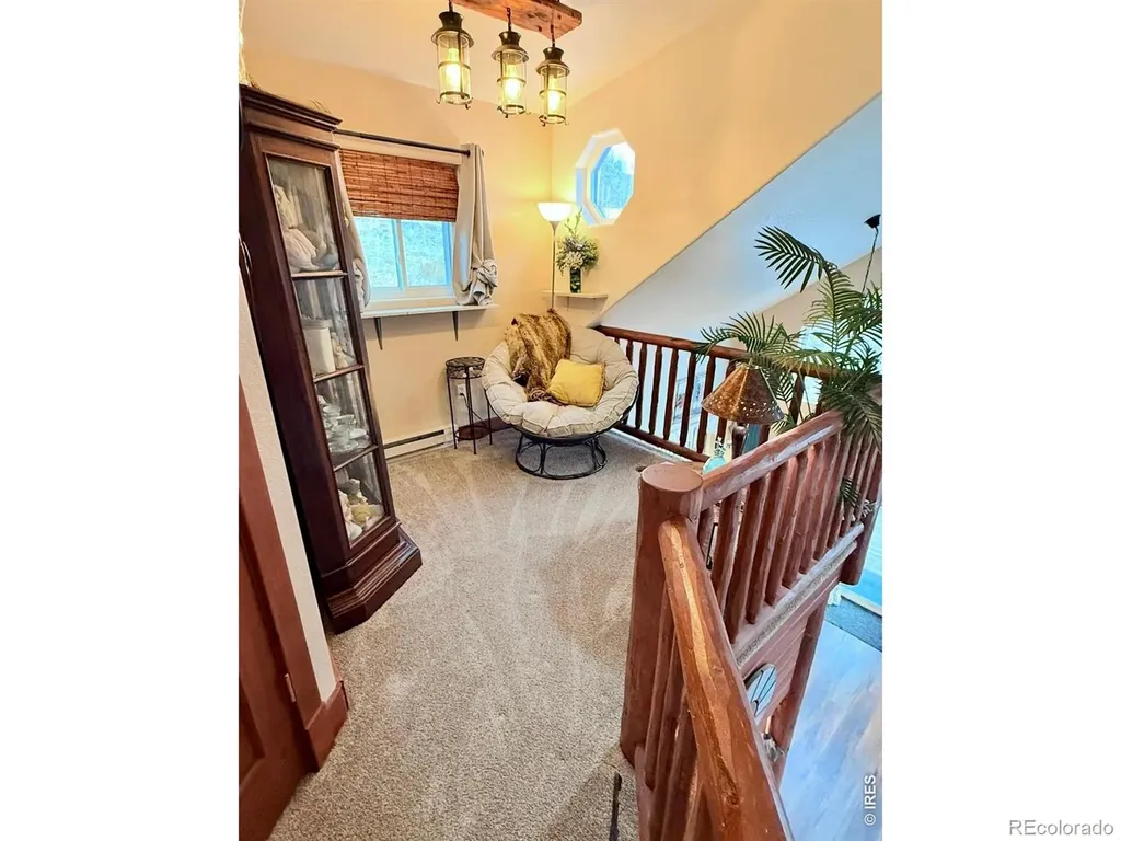 3689 Ottawa Way Red Feather Lakes CO 80545