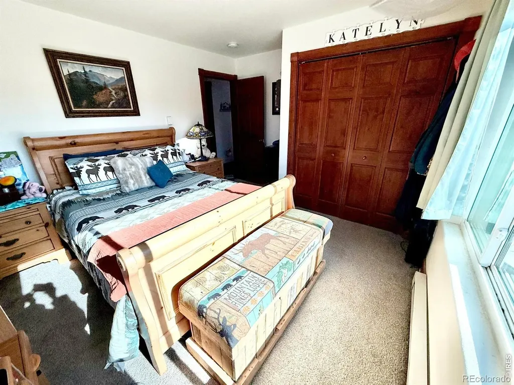 3689 Ottawa Way Red Feather Lakes CO 80545