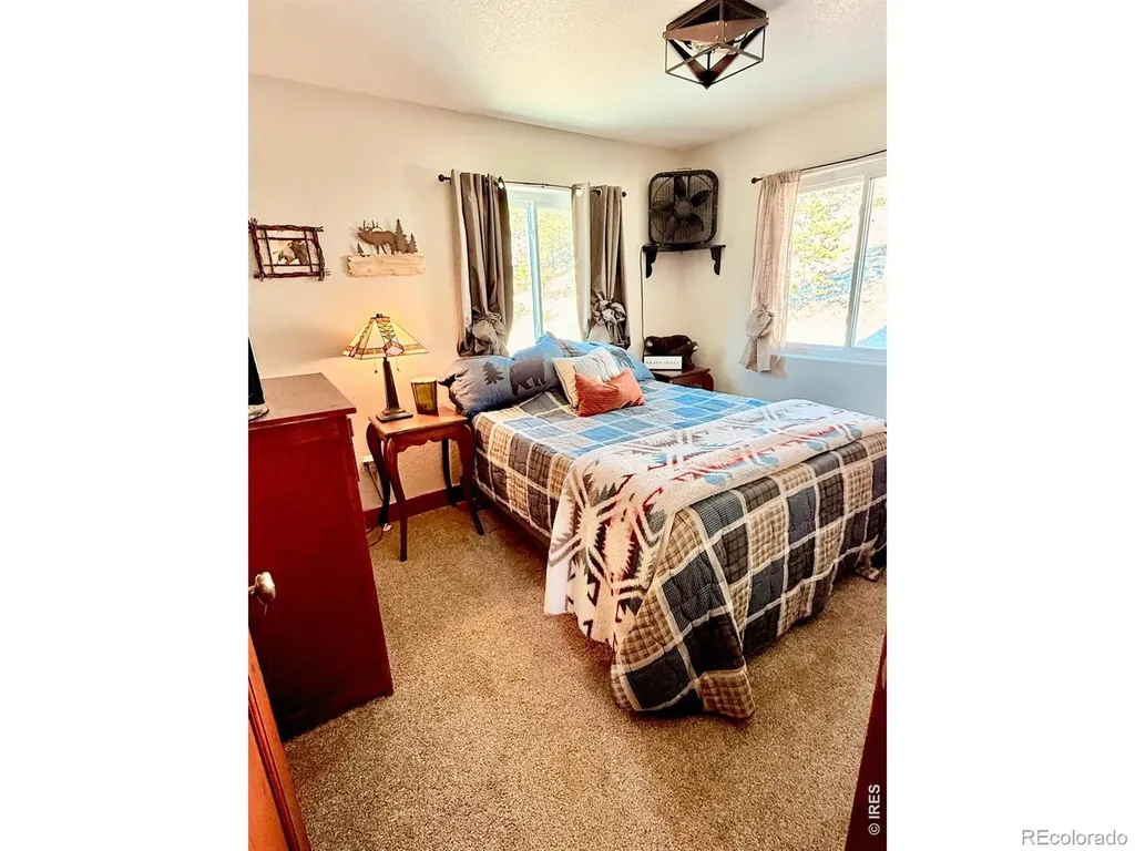 3689 Ottawa Way Red Feather Lakes CO 80545