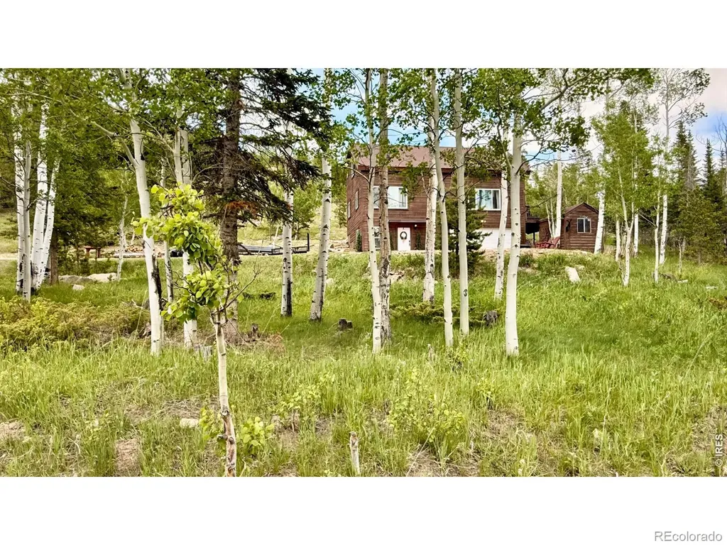 3689 Ottawa Way Red Feather Lakes CO 80545