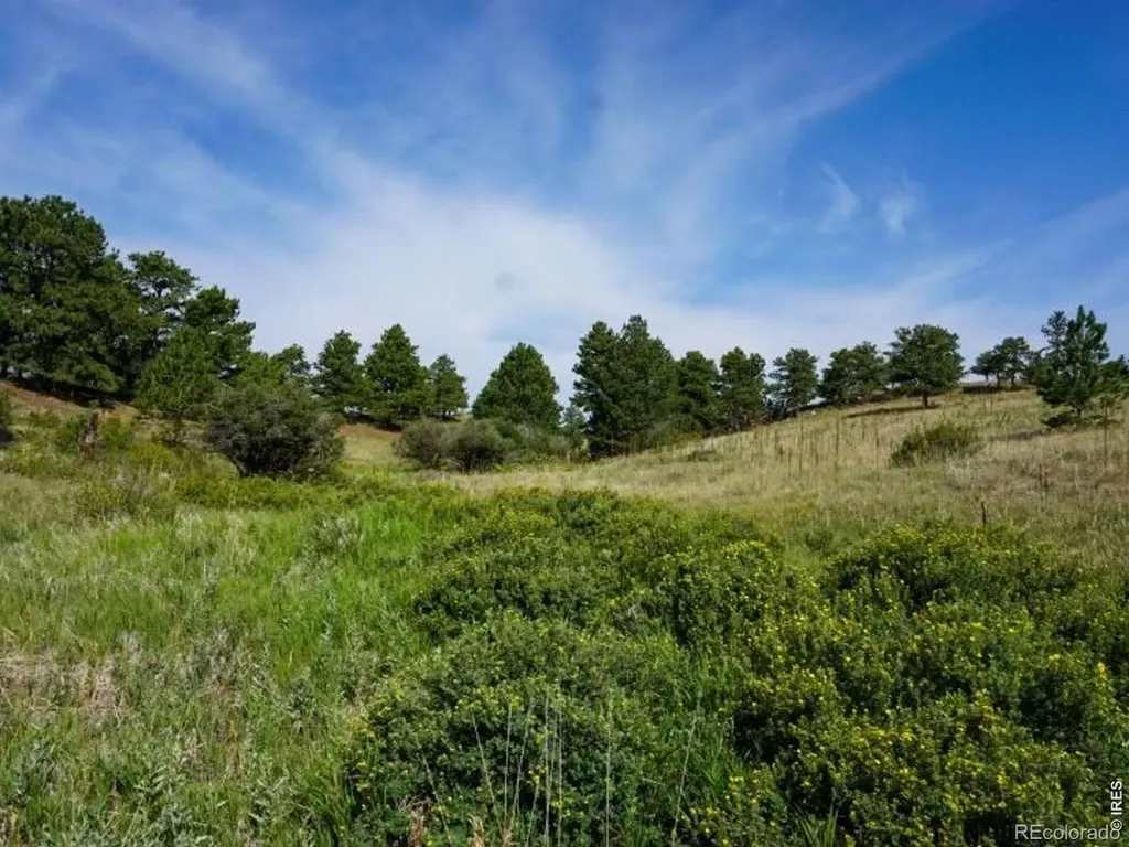 0 Stub Court Livermore CO 80536