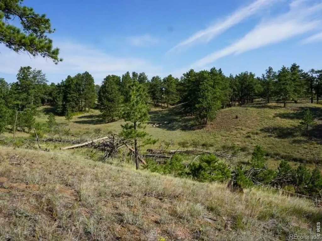 0 Stub Court Livermore CO 80536