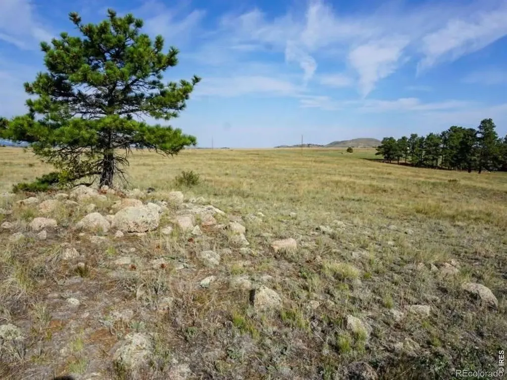 0 Stub Court Livermore CO 80536