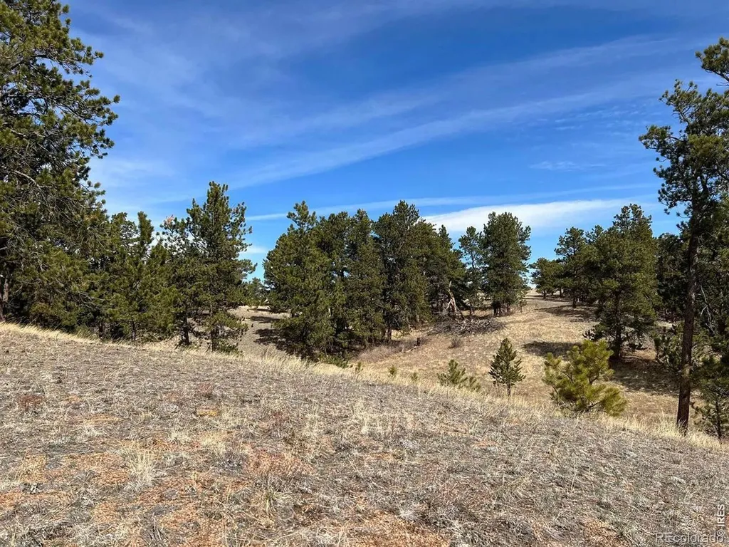 0 Stub Court Livermore CO 80536