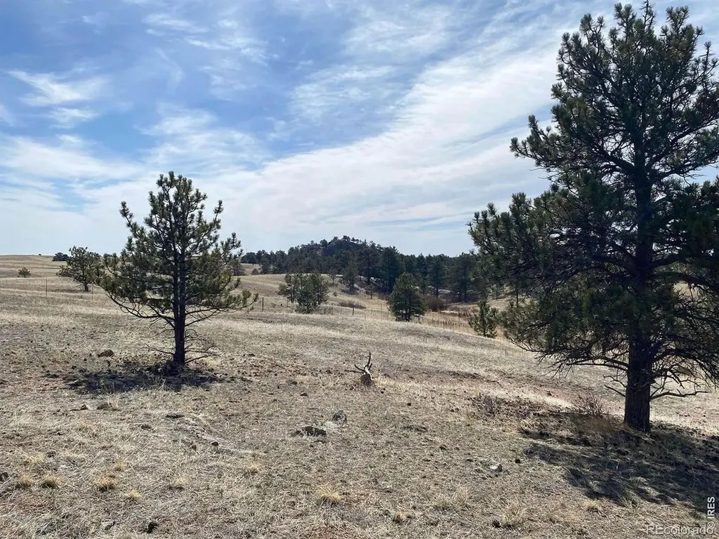 0 Stub Court Livermore CO 80536