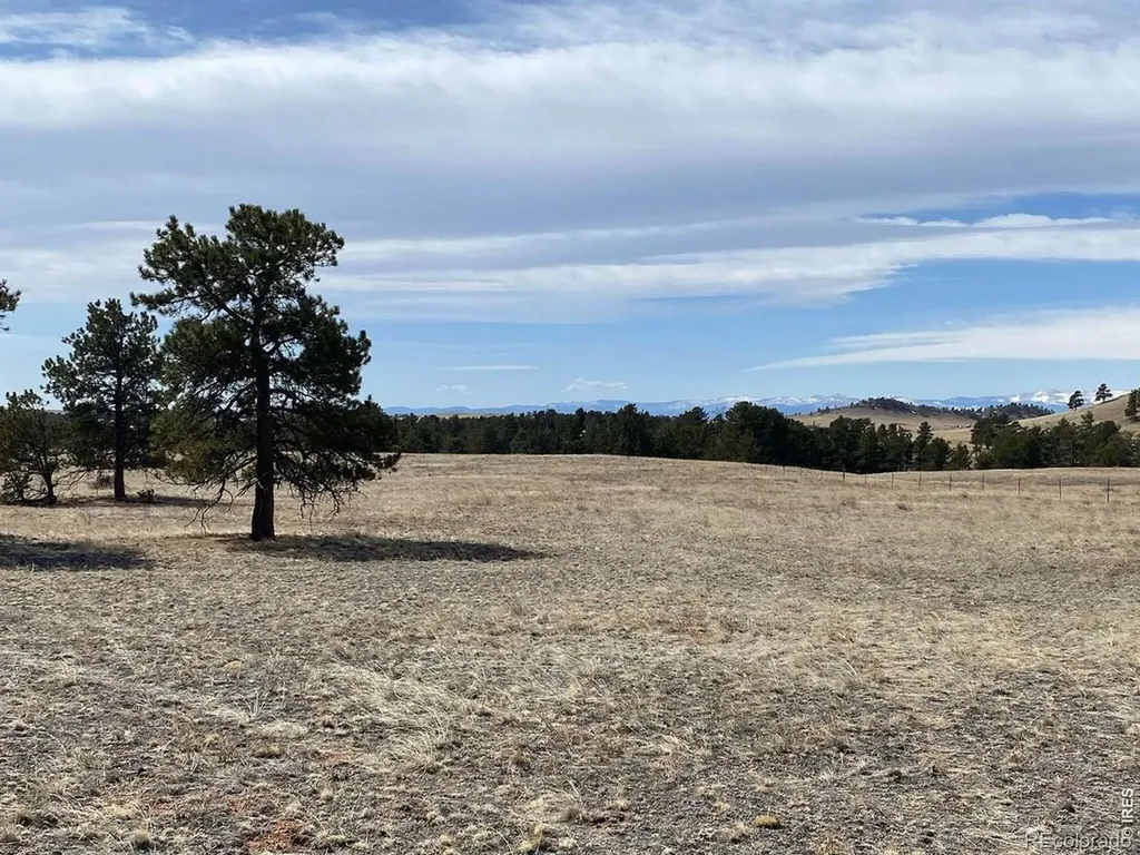 0 Stub Court Livermore CO 80536