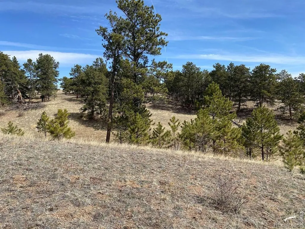 0 Stub Court Livermore CO 80536