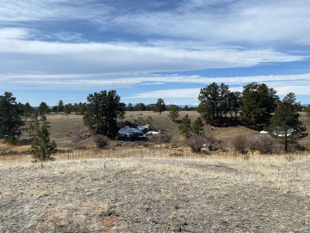 0 Stub Court Livermore CO 80536