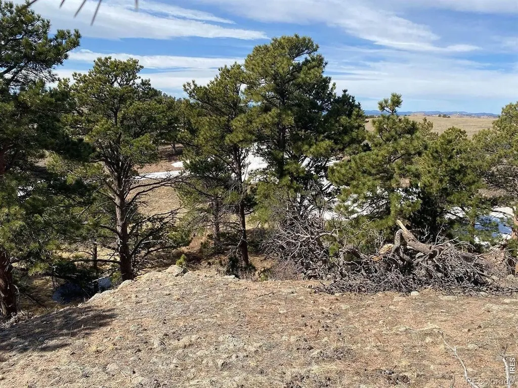 0 Stub Court Livermore CO 80536