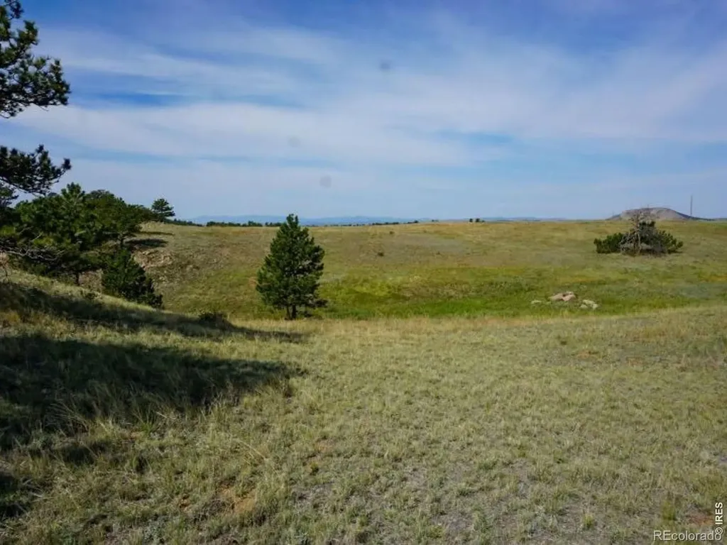 0 Stub Court Livermore CO 80536