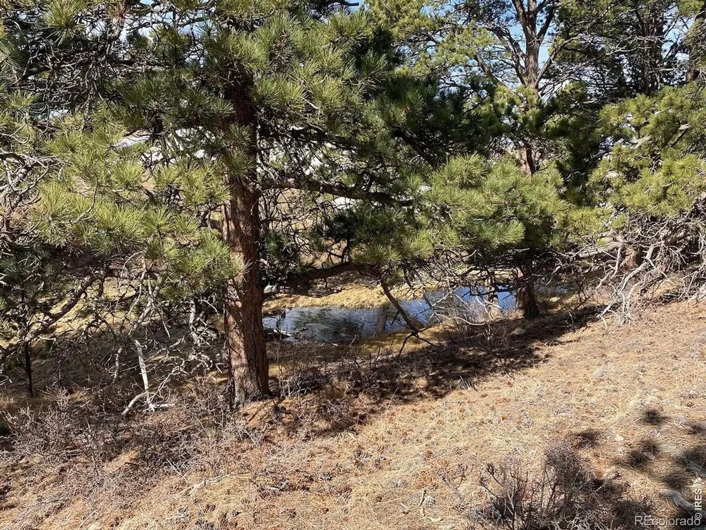 0 Stub Court Livermore CO 80536