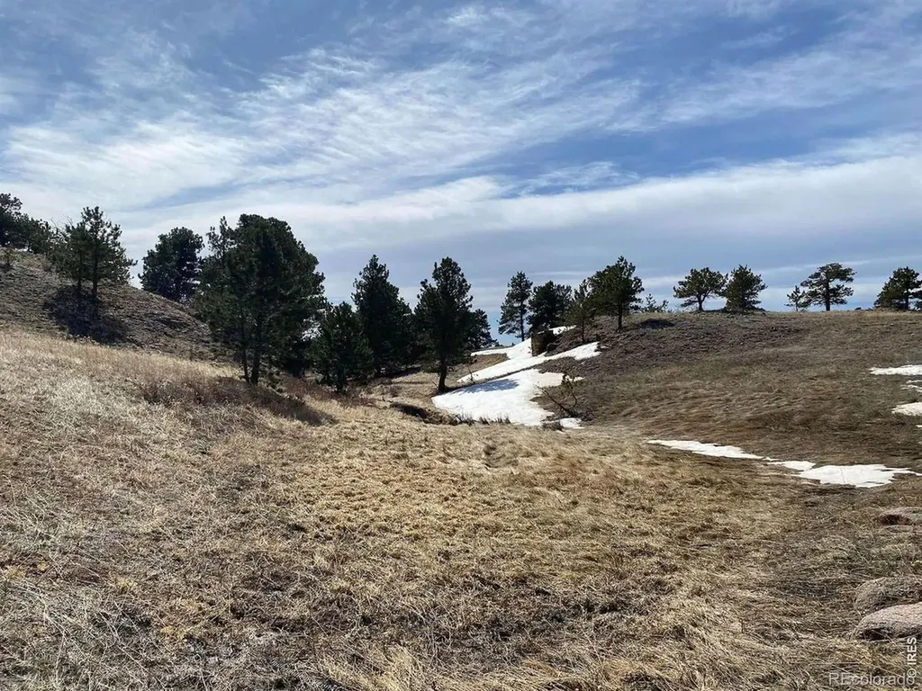 0 Stub Court Livermore CO 80536
