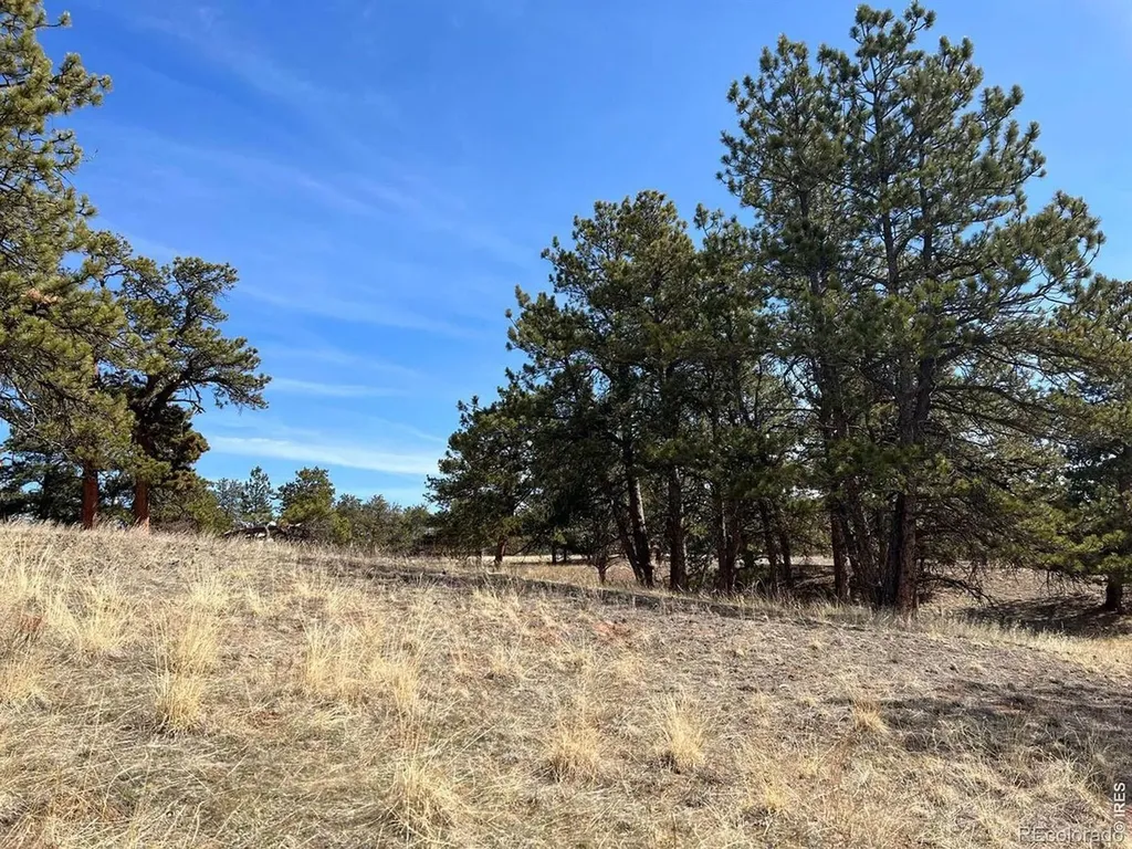0 Stub Court Livermore CO 80536
