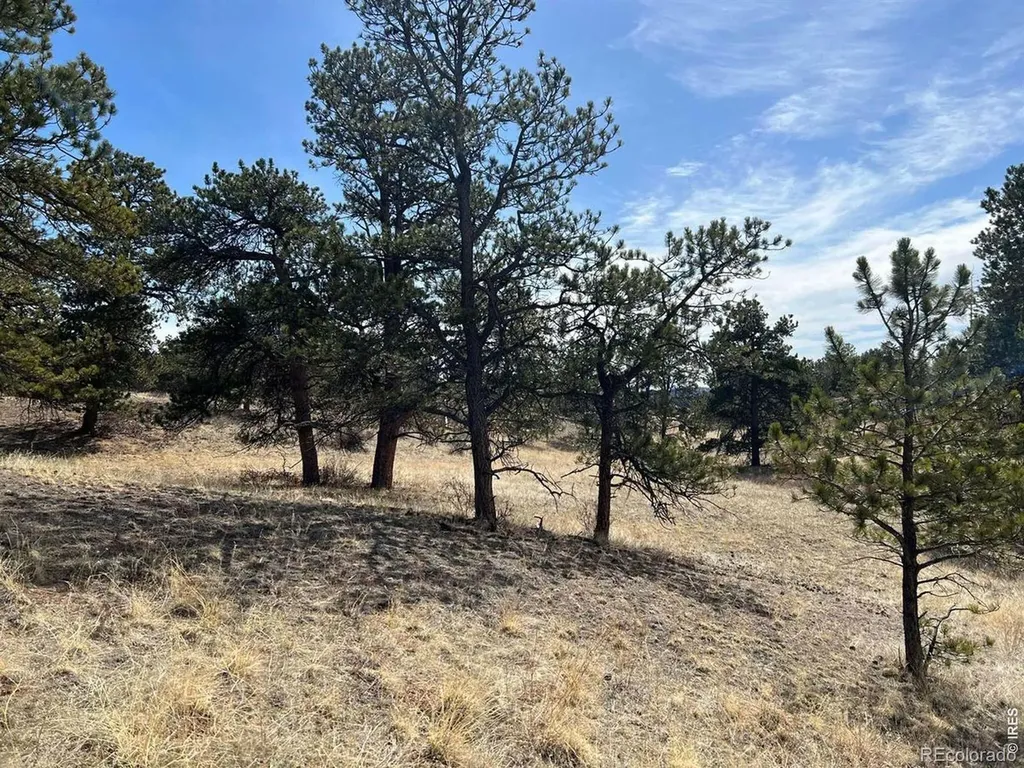 0 Stub Court Livermore CO 80536