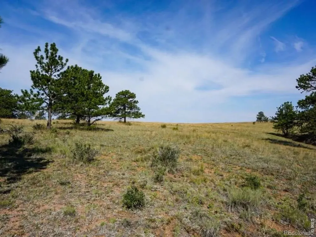 0 Stub Court Livermore CO 80536