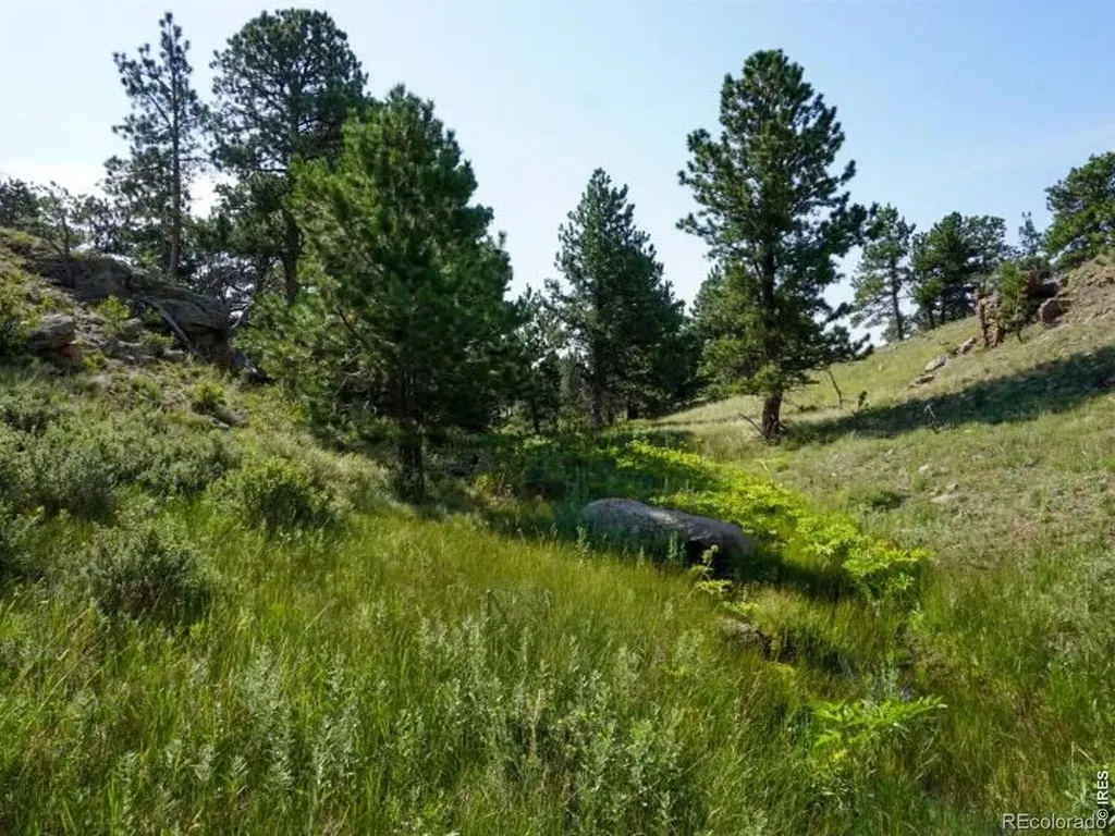 0 Stub Court Livermore CO 80536