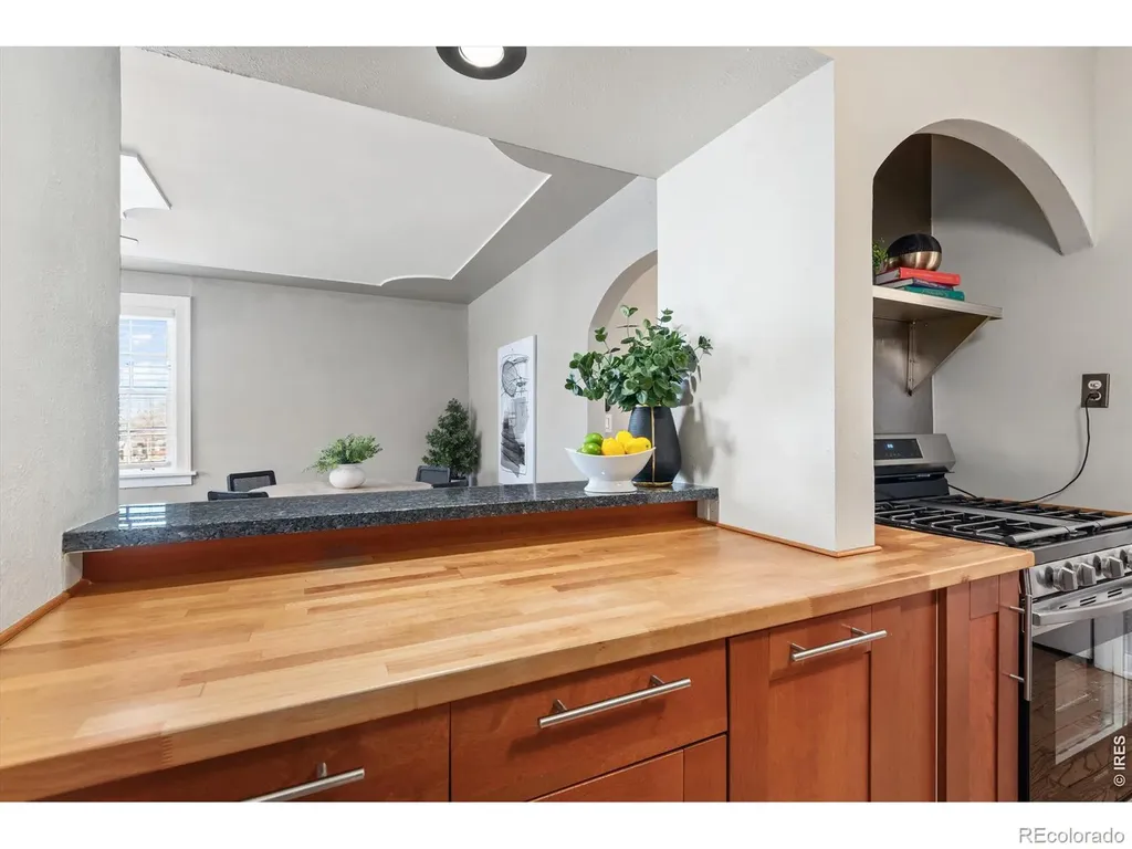 1446 N Gilpin Street Denver CO 80218