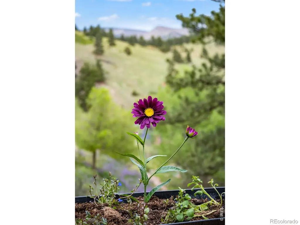 7267 Olde Stage Road Boulder CO 80302