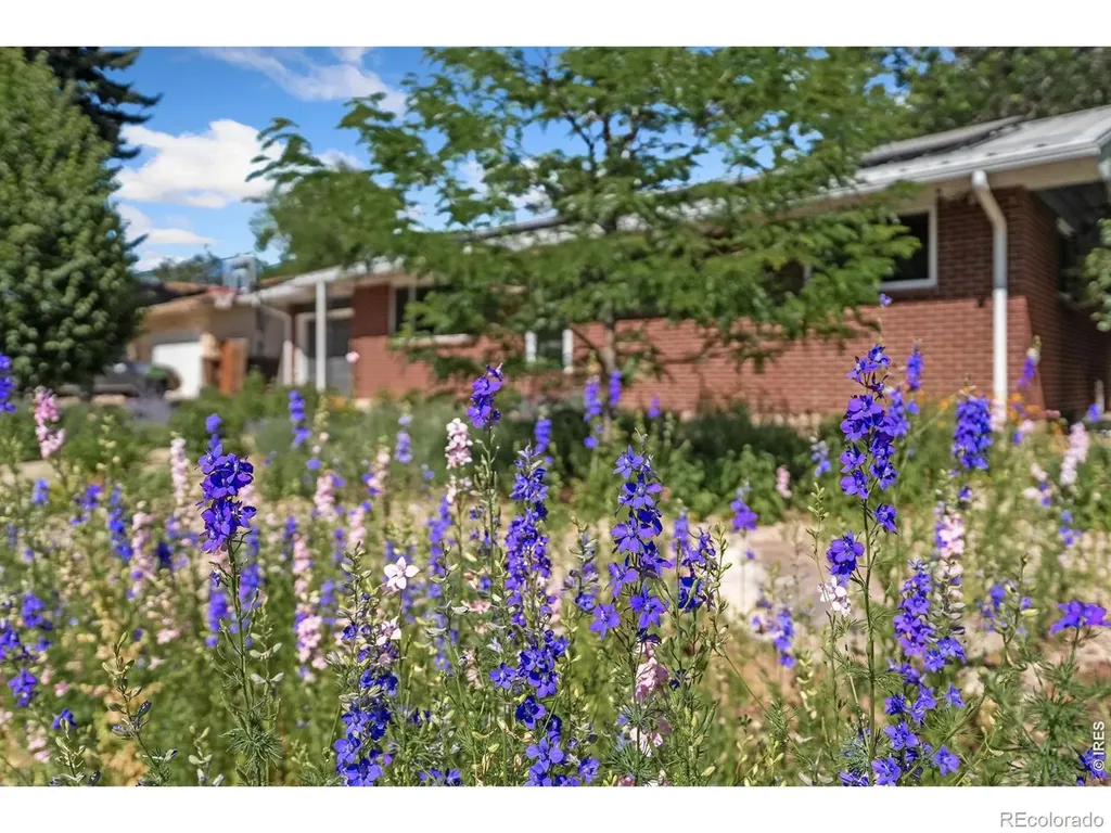 1616 Smith Place Fort Collins CO 80525