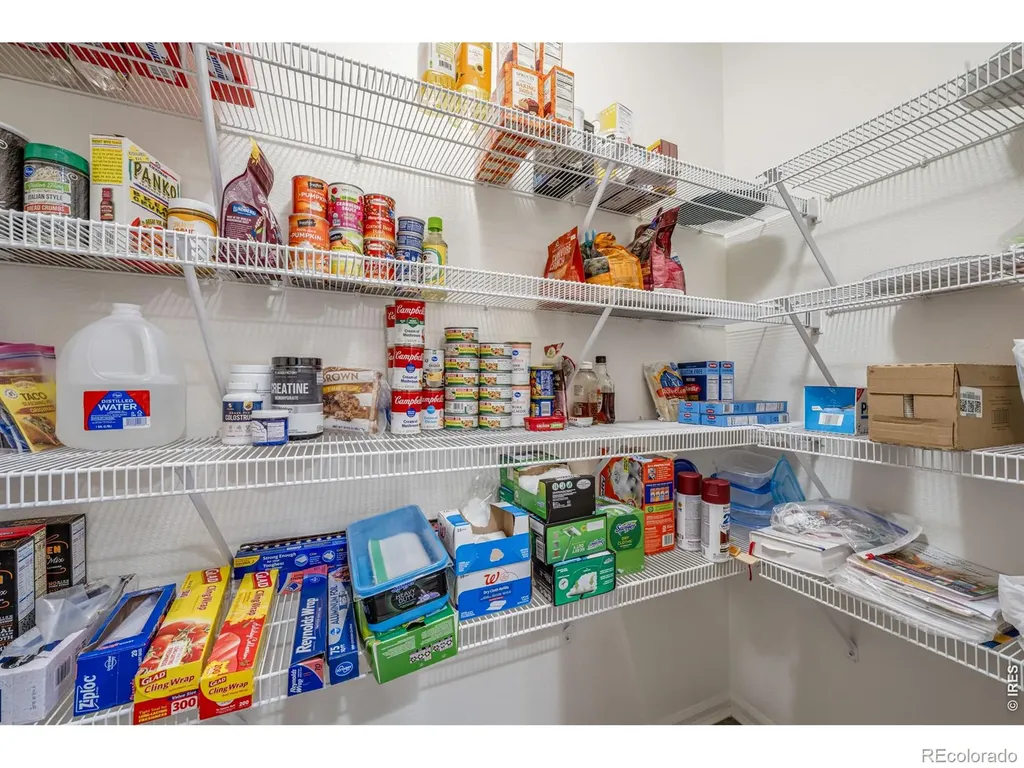 1848 Elk Springs Street Loveland CO 80538