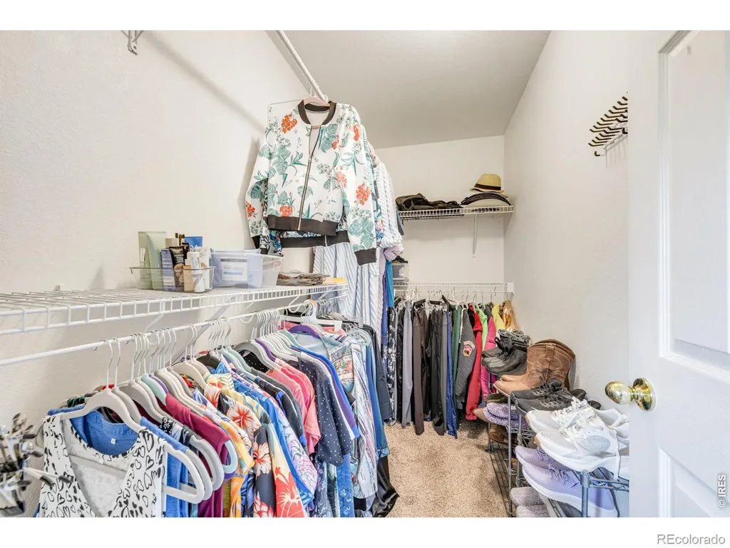 1848 Elk Springs Street Loveland CO 80538