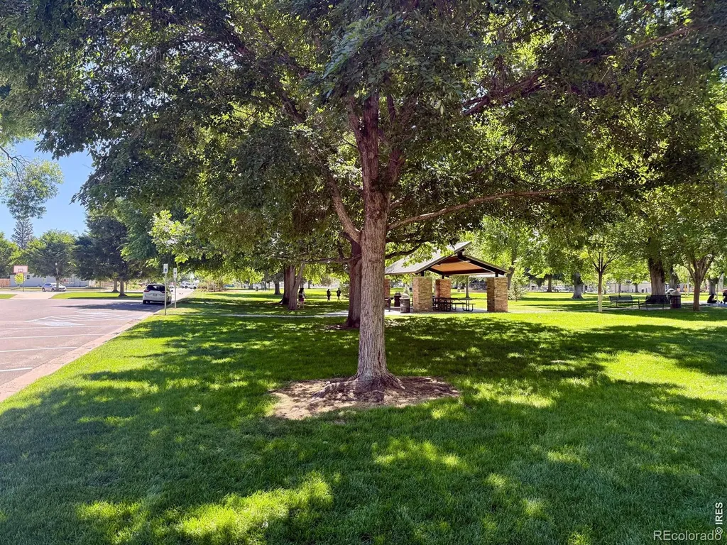 112 Elm Street Windsor CO 80550
