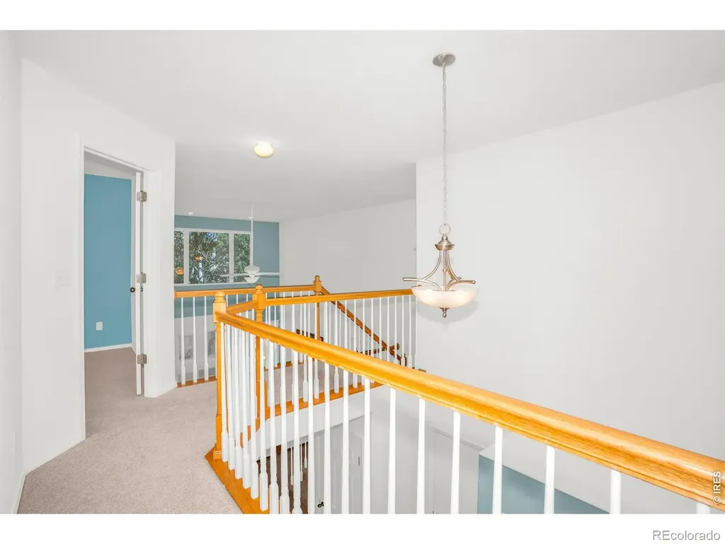 4007 Don Fox Circle Loveland CO 80537