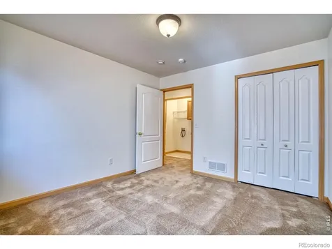 1384 Saginaw Pointe Drive Windsor CO 80550