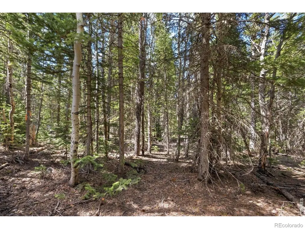 1199 Brainard Lake Road Ward CO 80481