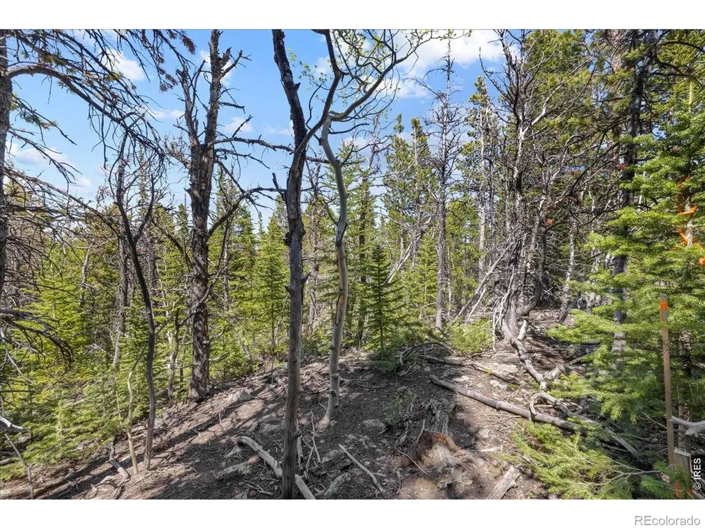 1199 Brainard Lake Road Ward CO 80481