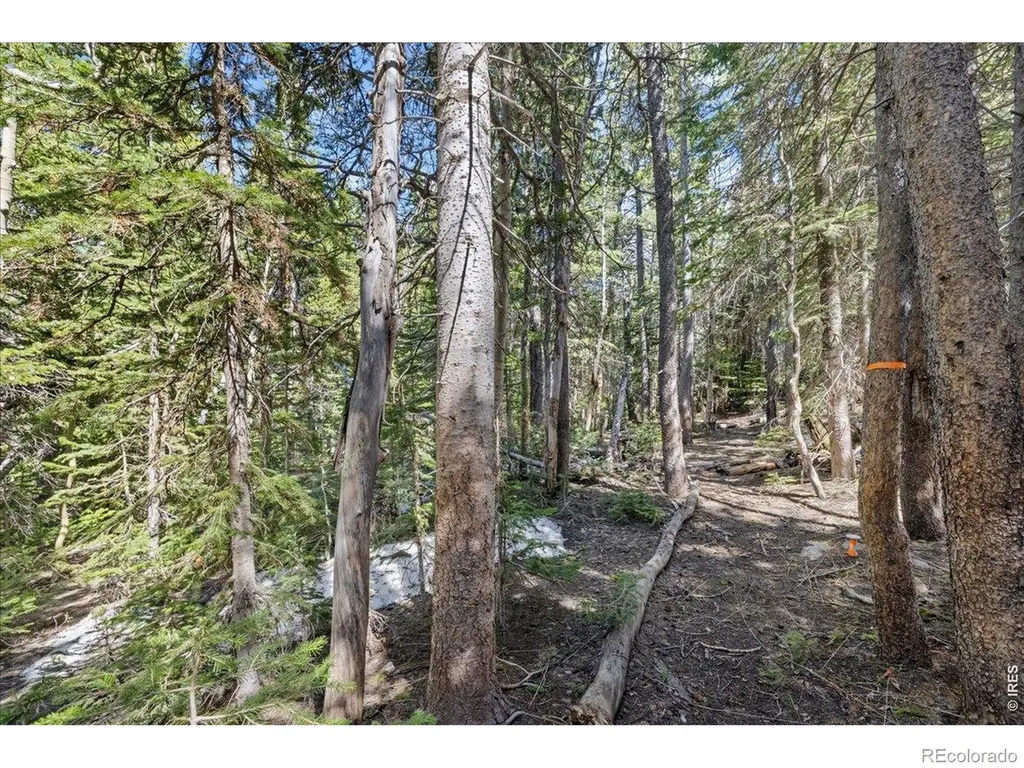 1199 Brainard Lake Road Ward CO 80481
