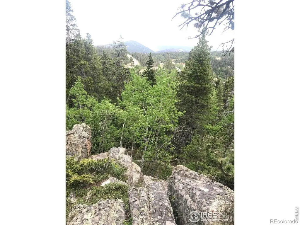 1199 Brainard Lake Road Ward CO 80481