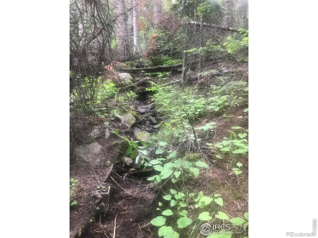 1199 Brainard Lake Road Ward CO 80481