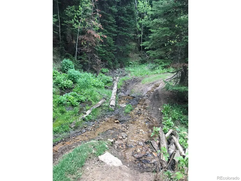 1199 Brainard Lake Road Ward CO 80481