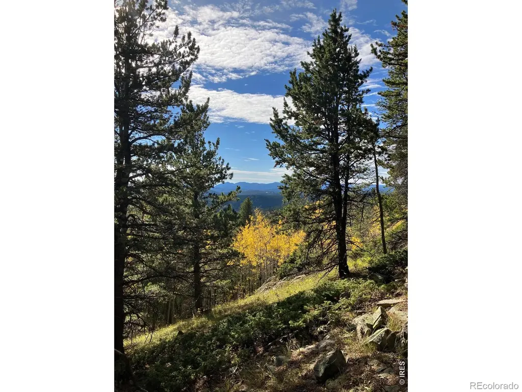 1199 Brainard Lake Road Ward CO 80481