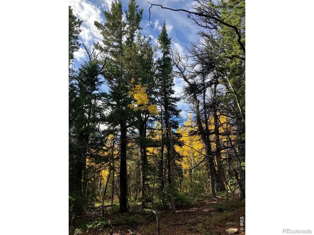 1199 Brainard Lake Road Ward CO 80481