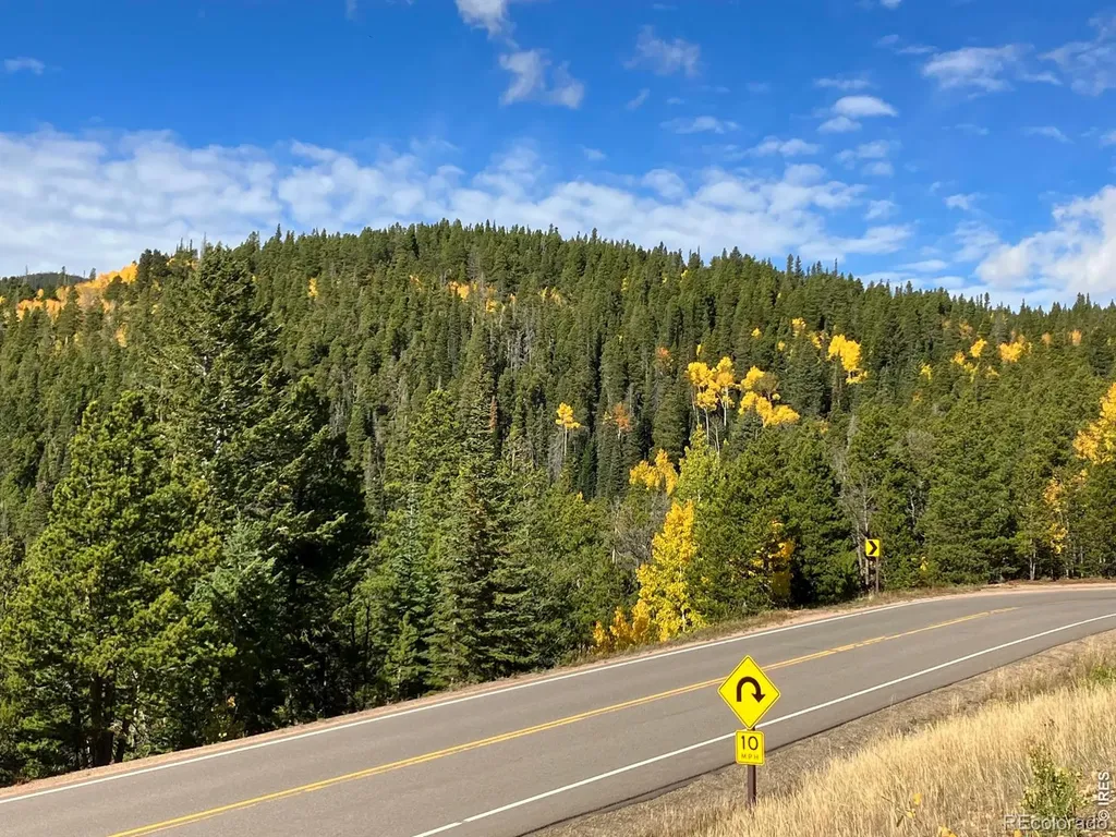 1199 Brainard Lake Road Ward CO 80481