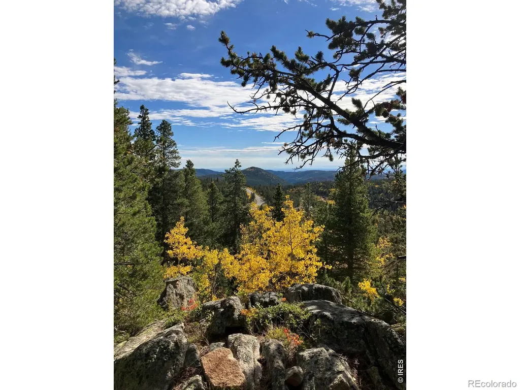 1199 Brainard Lake Road Ward CO 80481
