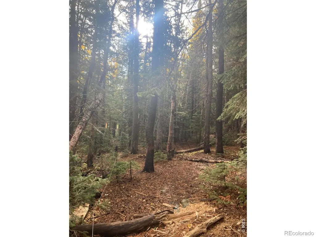 1199 Brainard Lake Road Ward CO 80481
