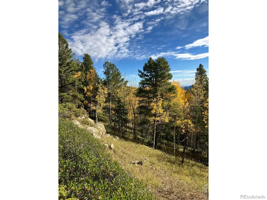 1199 Brainard Lake Road Ward CO 80481