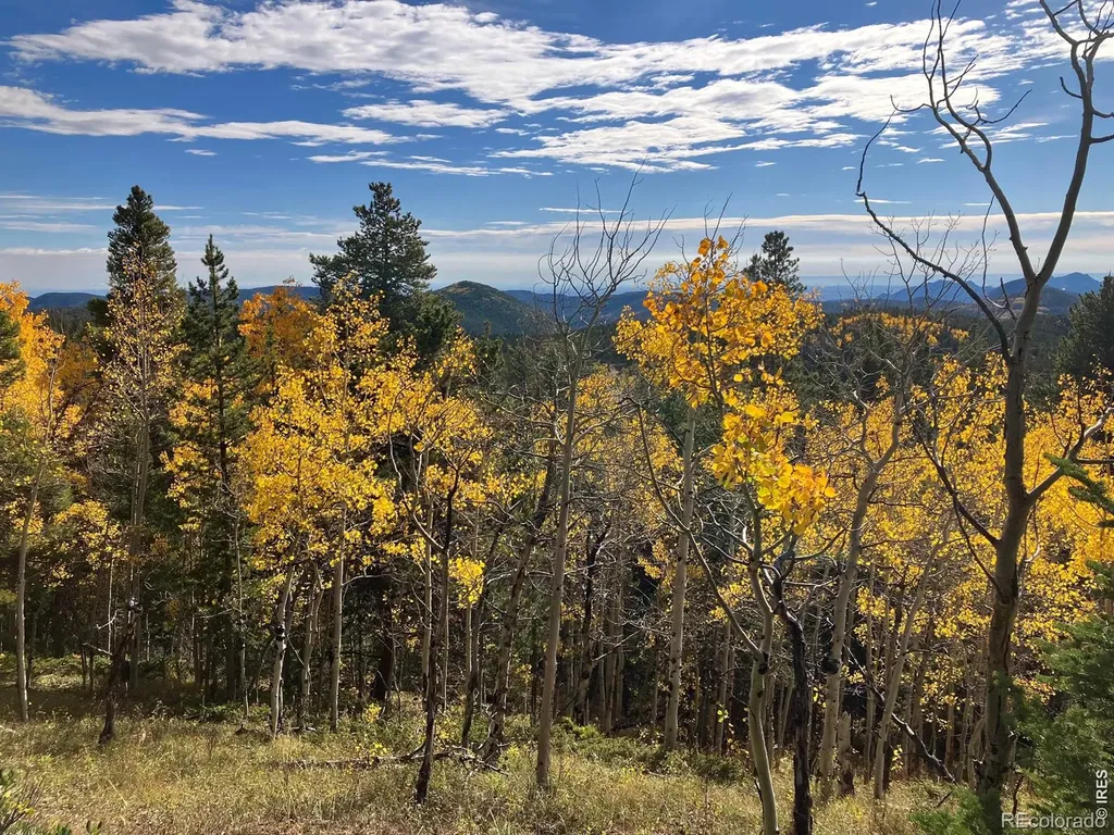 1199 Brainard Lake Road Ward CO 80481