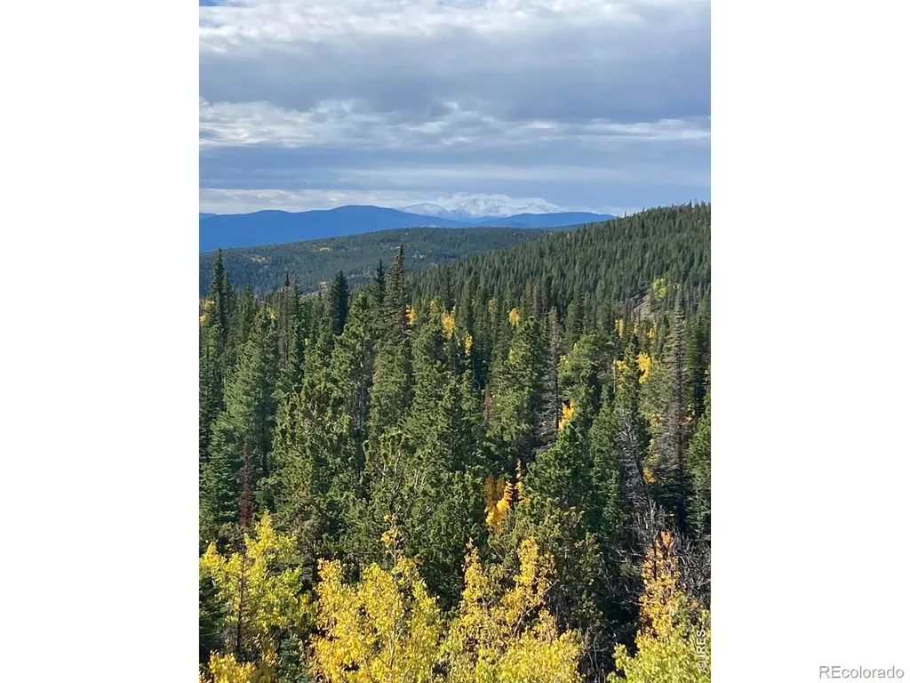 1199 Brainard Lake Road Ward CO 80481