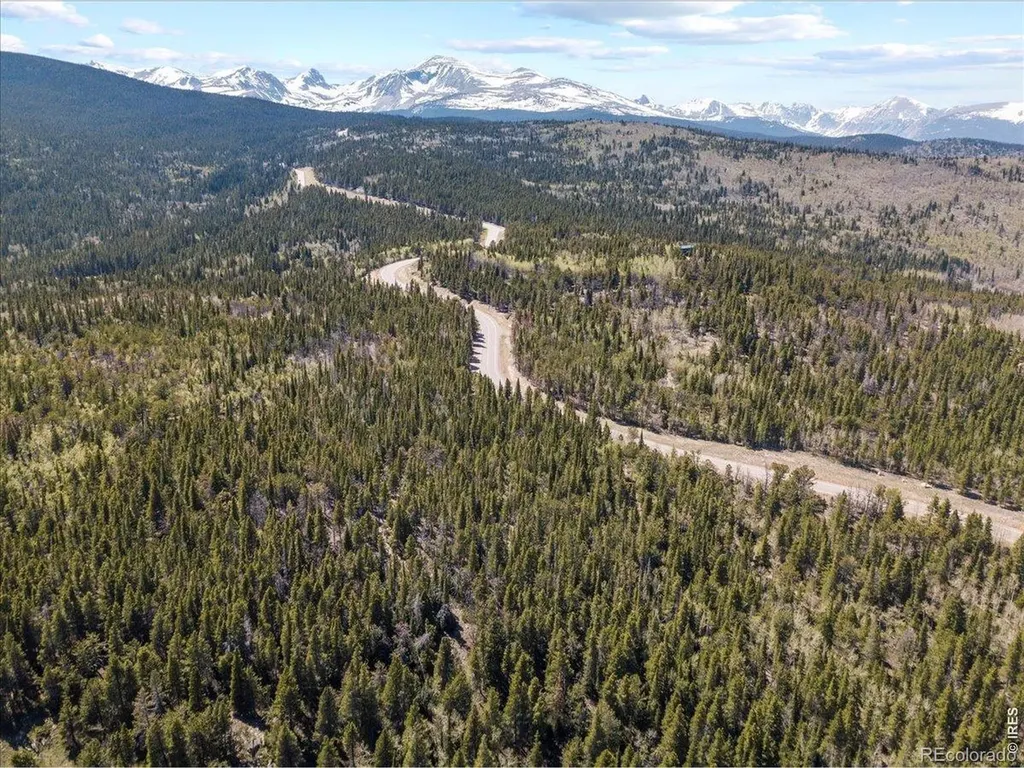 1199 Brainard Lake Road Ward CO 80481
