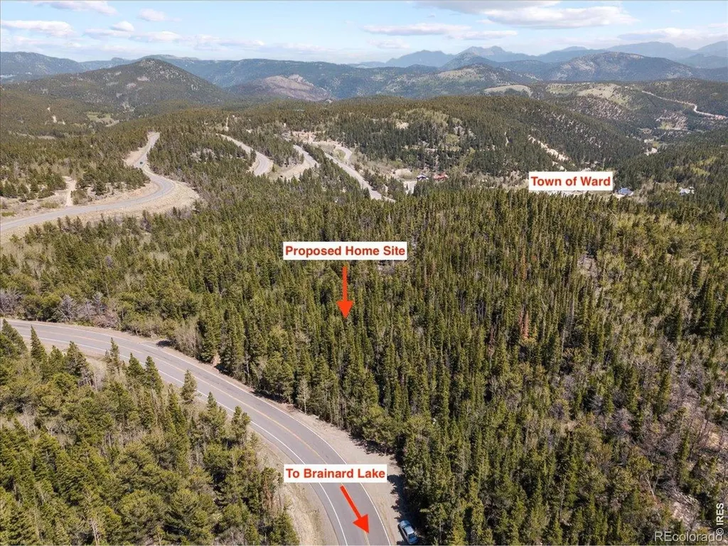 1199 Brainard Lake Road Ward CO 80481