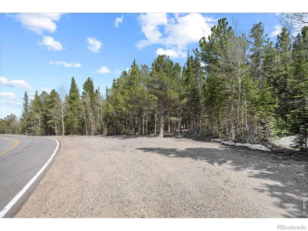 1199 Brainard Lake Road Ward CO 80481