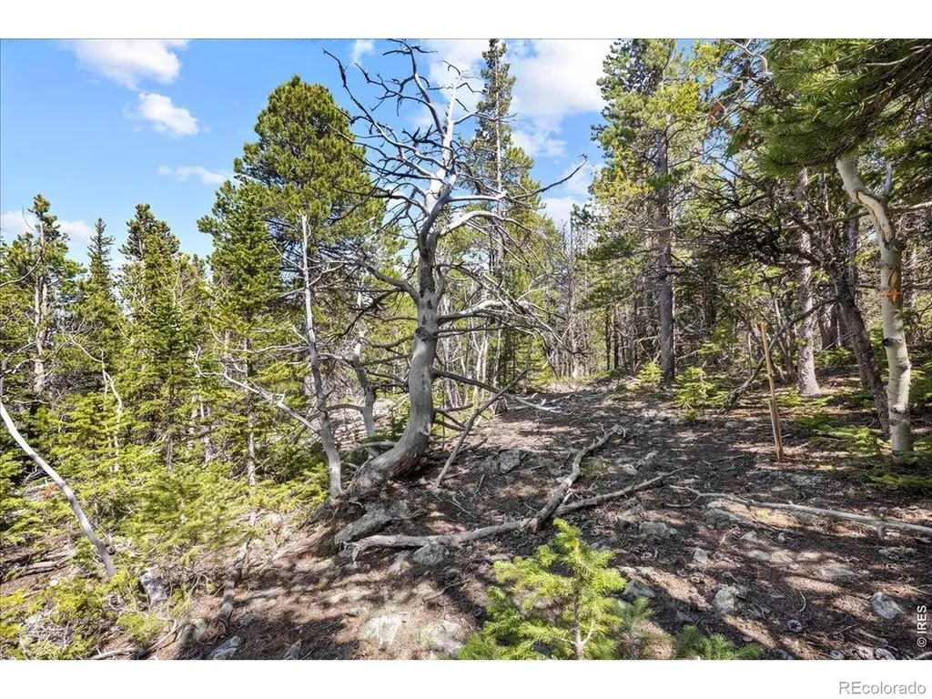 1199 Brainard Lake Road Ward CO 80481
