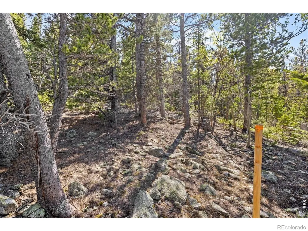 1199 Brainard Lake Road Ward CO 80481