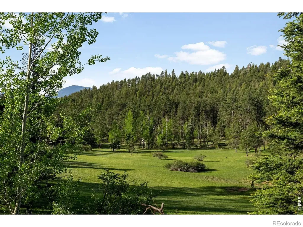 29700 S Sunset Trail Conifer CO 80433
